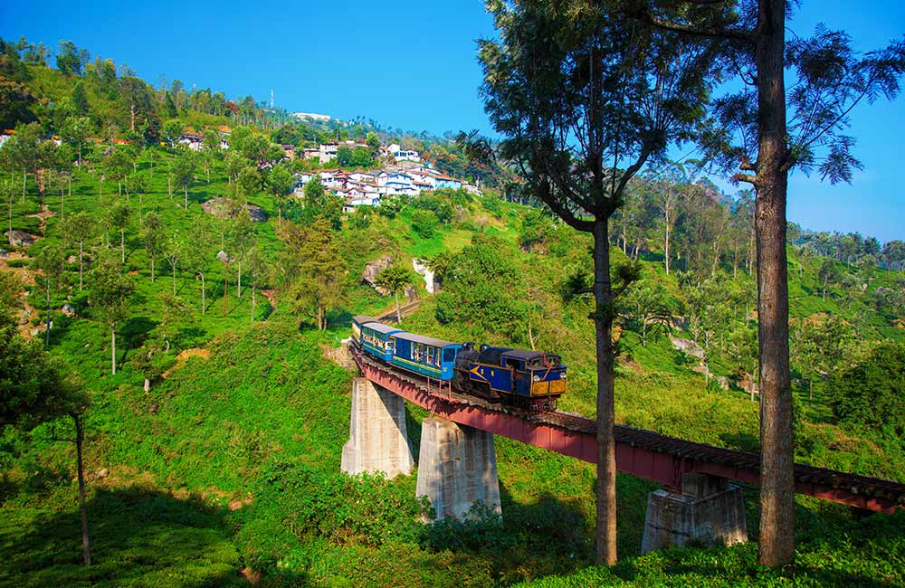 ooty tourist places top 10