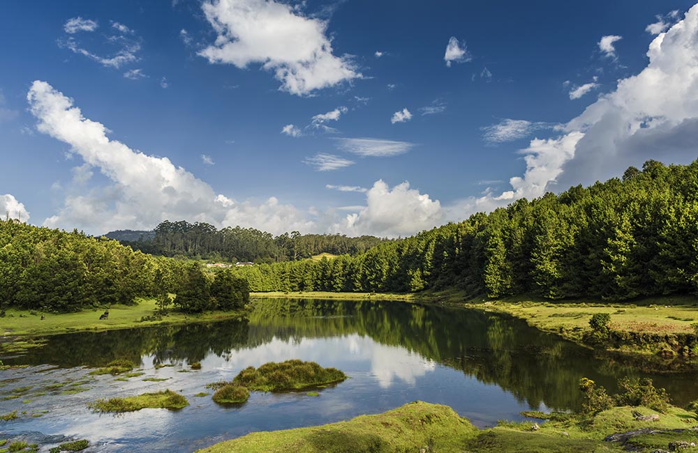 Pykara Falls and Pykara Lake,Ooty