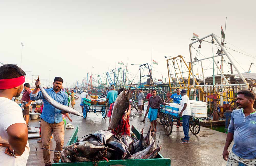 Royapuram Fishing Harbour, Chennai