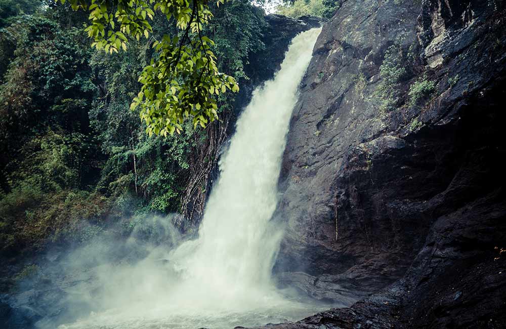 Soochipara Waterfallsls | Waterfalls near Mysore