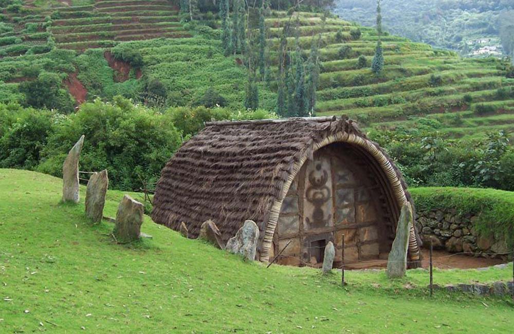 Tribal Museum,Ooty