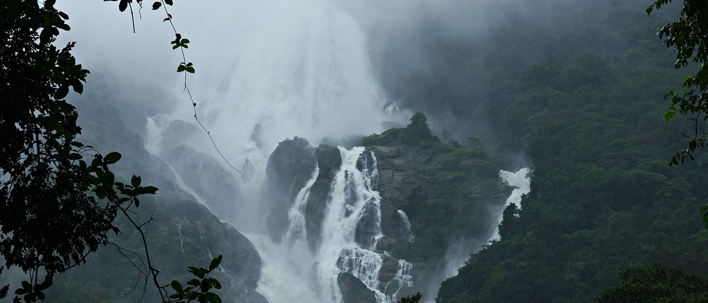 banner-image