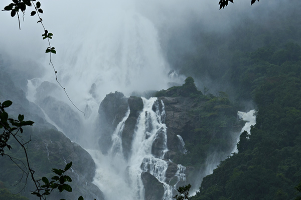 banner-image