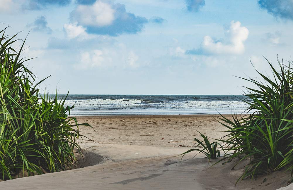 Tajpur Beach | Among the Best Beaches near Kolkata