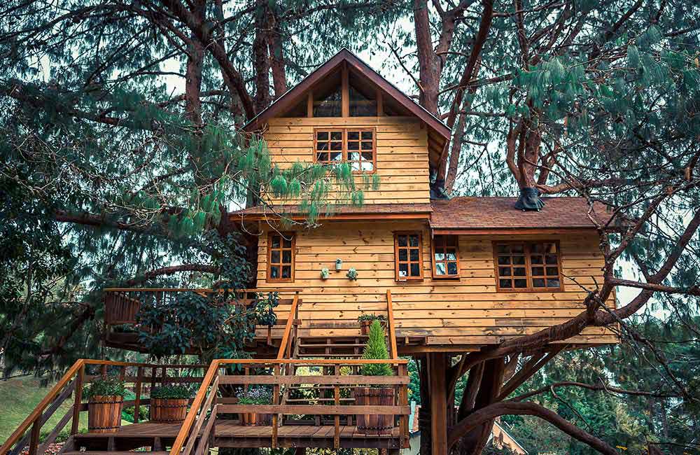 Amazing Experiences in Treehouses