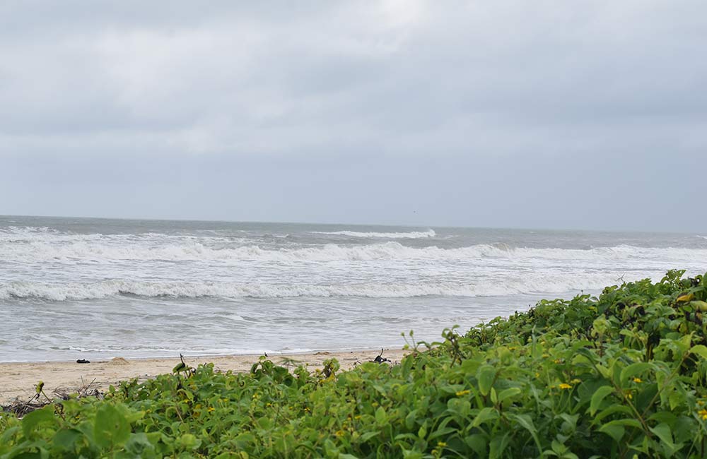 Panambur Beach | Beaches near Bangalore within 400 km