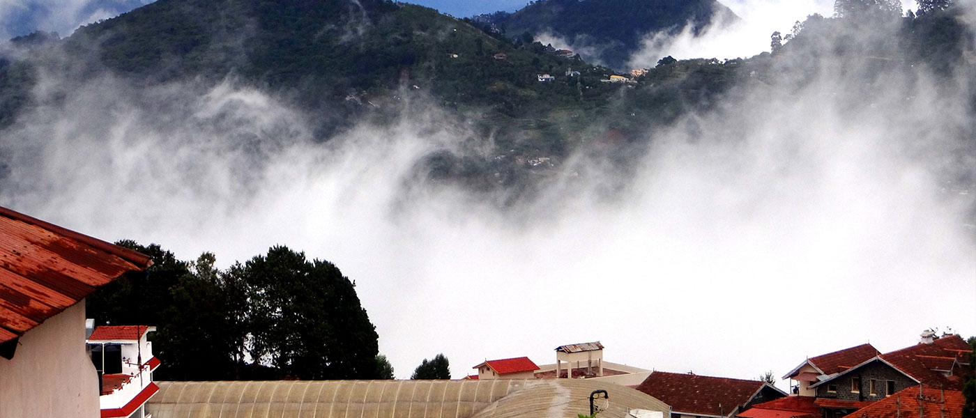 banner-image
