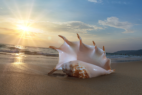 Beaches near Kolkata