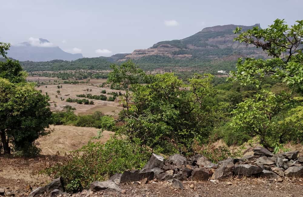 Bhandardara