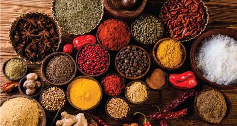 9 Best Restaurants in Mysore: Location, Avg. Cost for 2