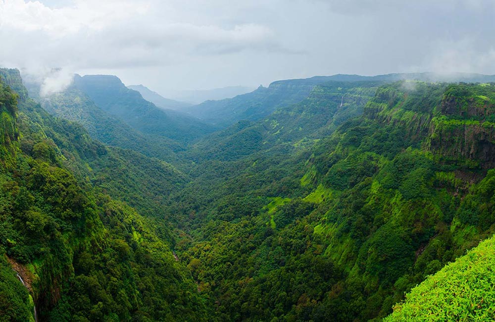 Amboli