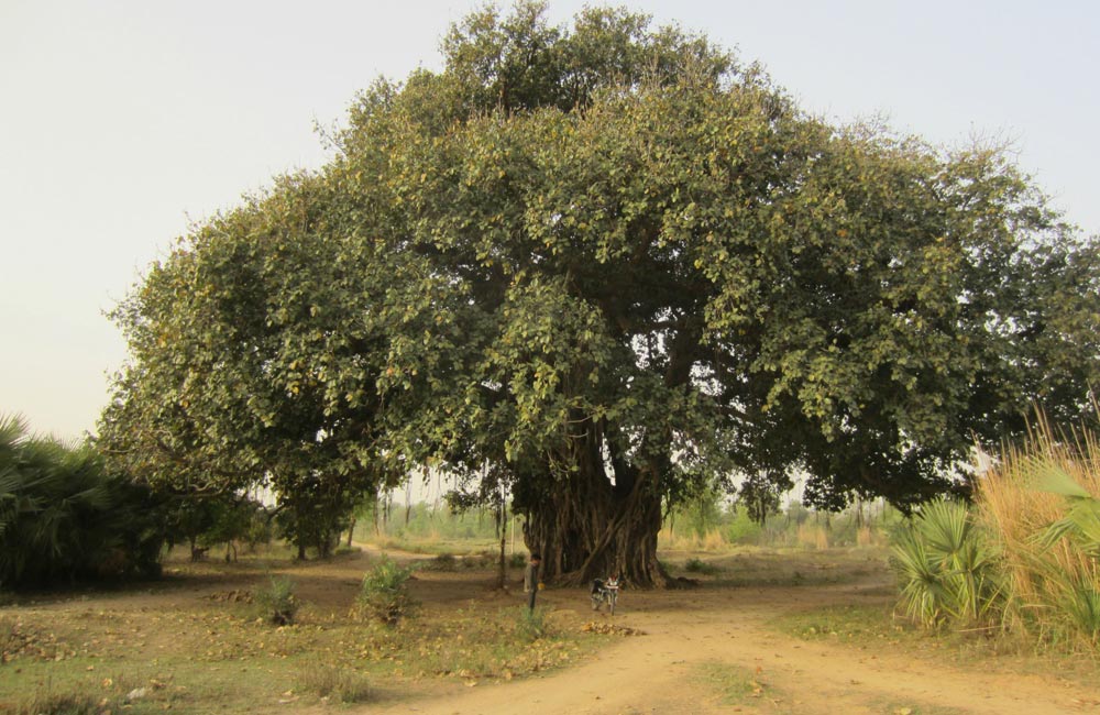 Saligao Village | Among the Best Haunted Places in Goa