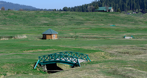 11 Top Hill Stations near Amritsar That You Can’t Miss in 2024