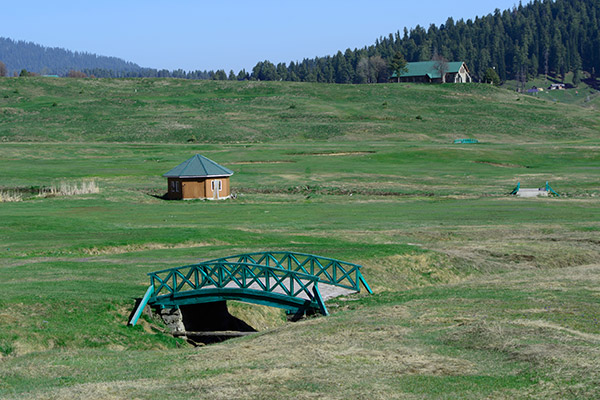 banner-image