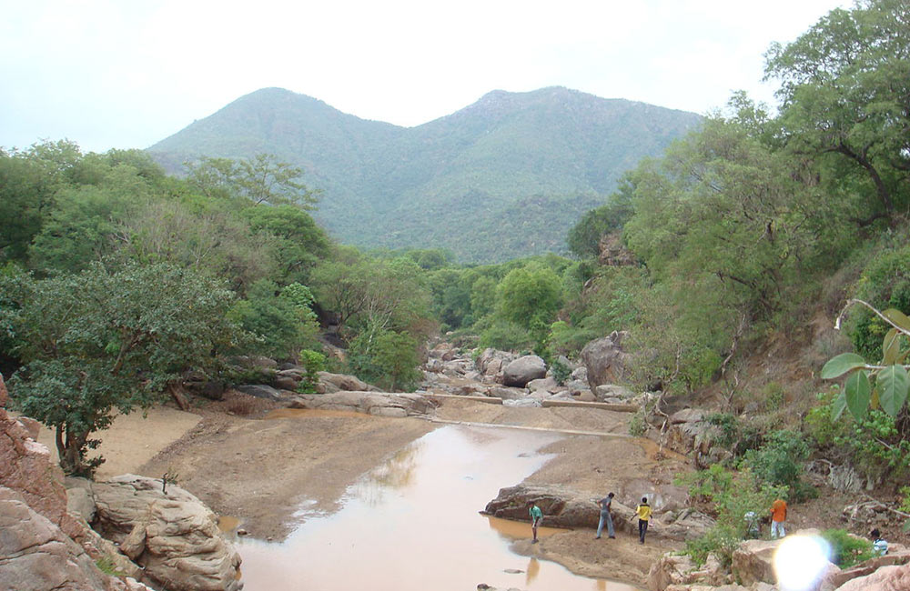 Amirthi Zoological Waterfalls near Chennai