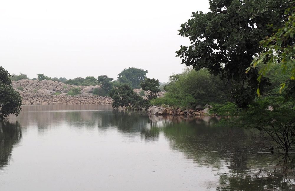 Asola Bhatti Wildlife Sanctuary 