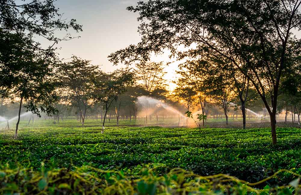 Dibrugarh, Assam