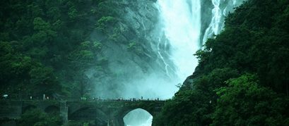 Trek to Dudhsagar Falls
