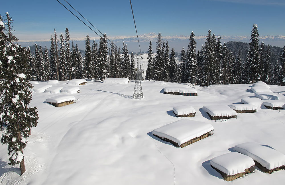 Meadow of flowers Gulmarg