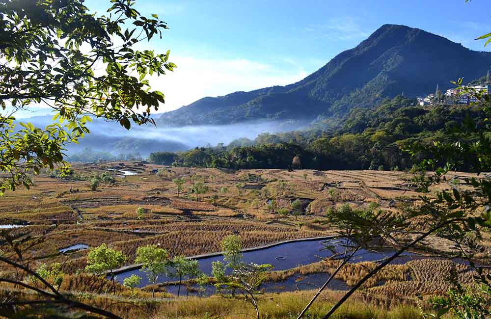 Kohima, Nagaland