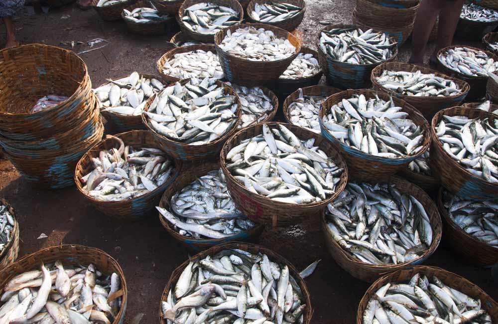 Margao Municipal Market, Goa