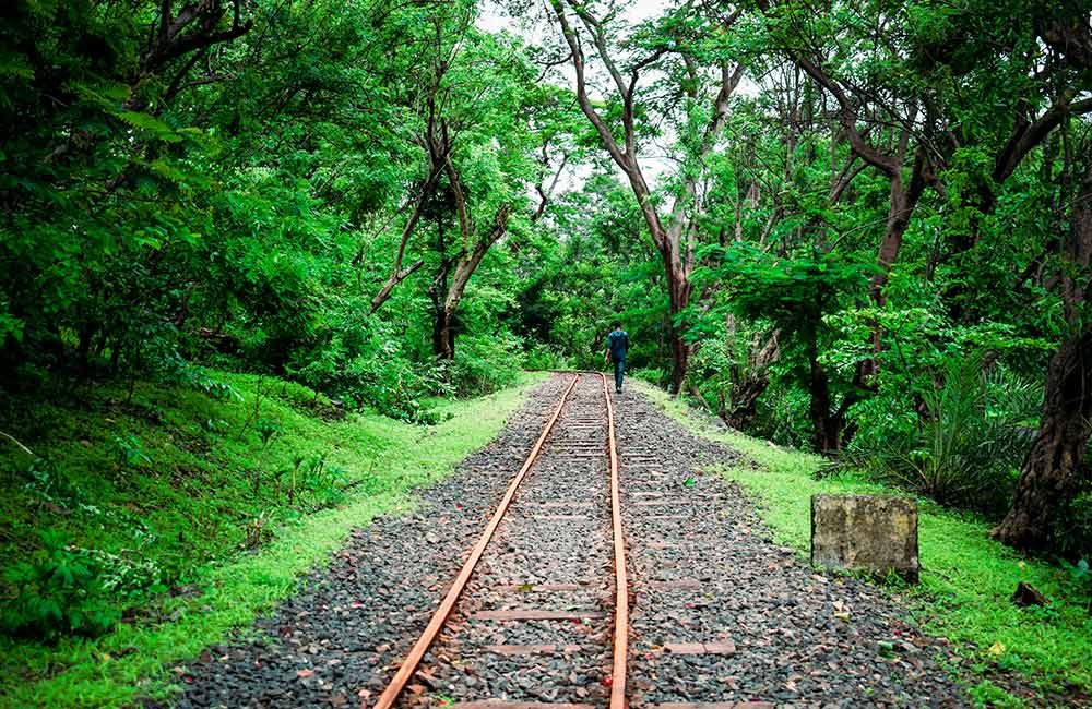 संजय गांधी राष्ट्रीय उद्यान |  मॉनसून में मुंबई में घूमने लायक जगहें