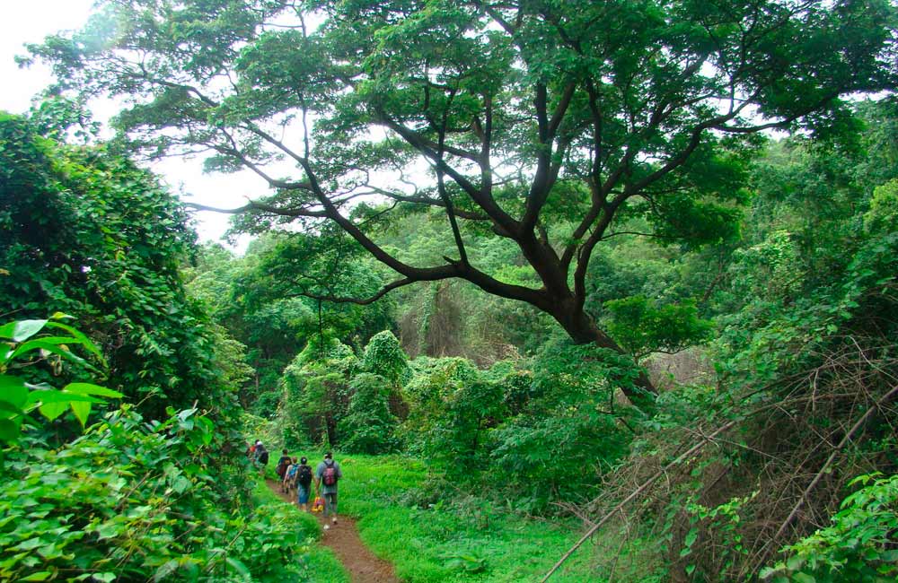 Sanjay Gandhi National Park | Fun Places to Hangout in Mumbai with Friends