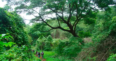 banner-image
