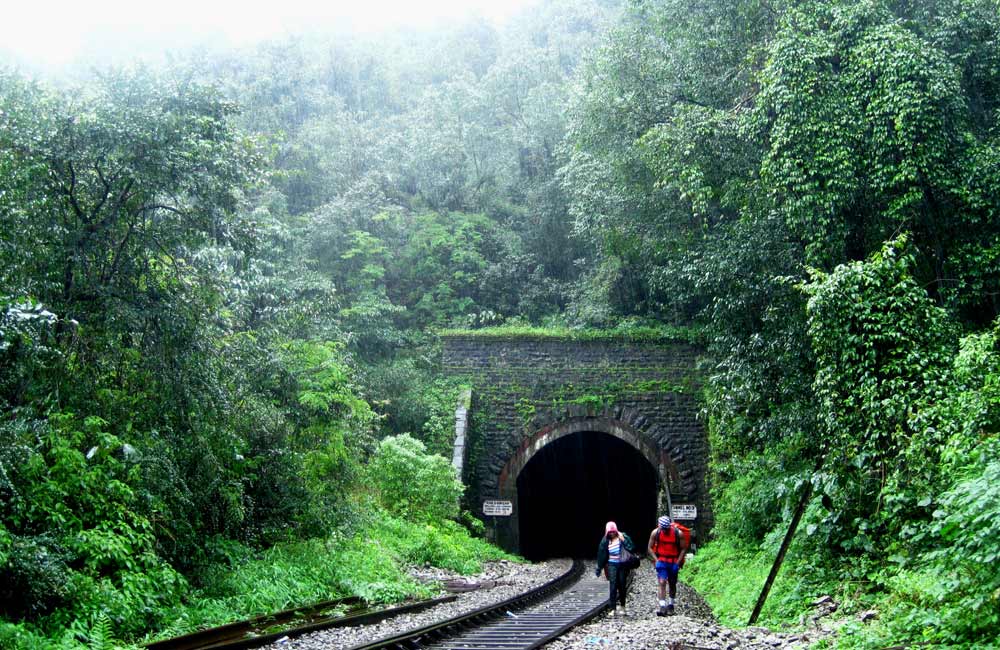 Trekking to Dudhsagar Falls