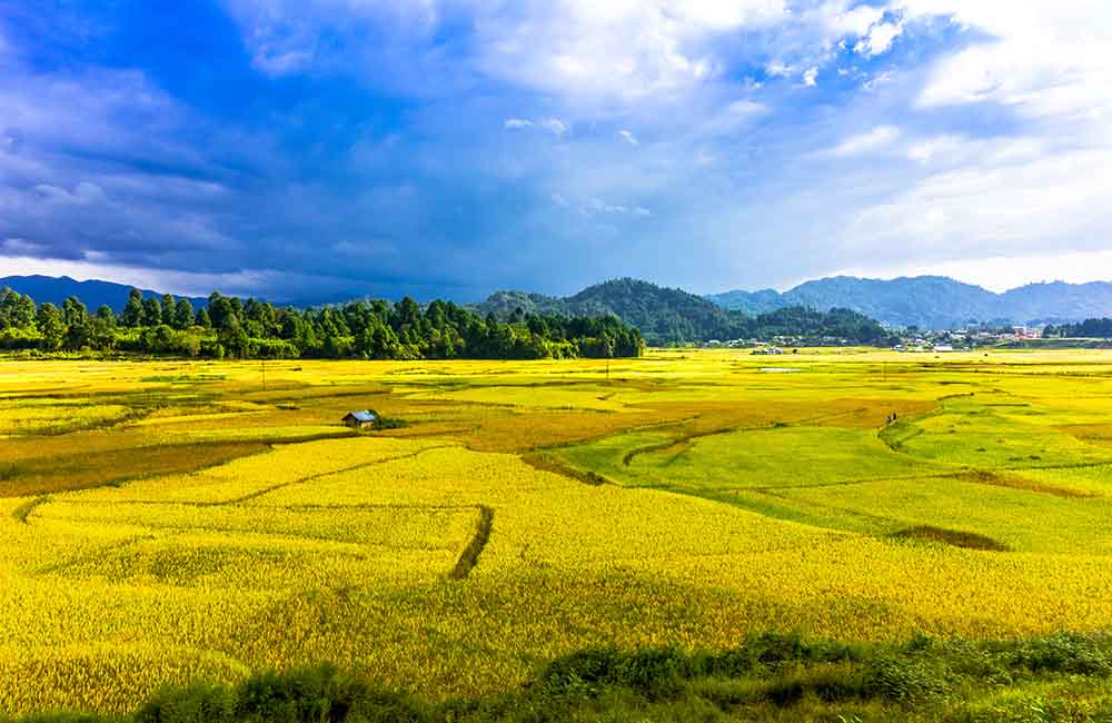 Ziro Valley, Arunachal Pradesh