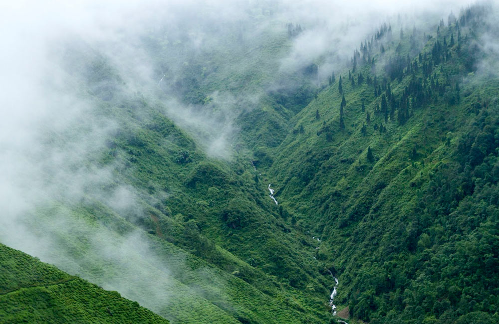 Dooars Valley | Among the Best Hill Stations near Kolkata