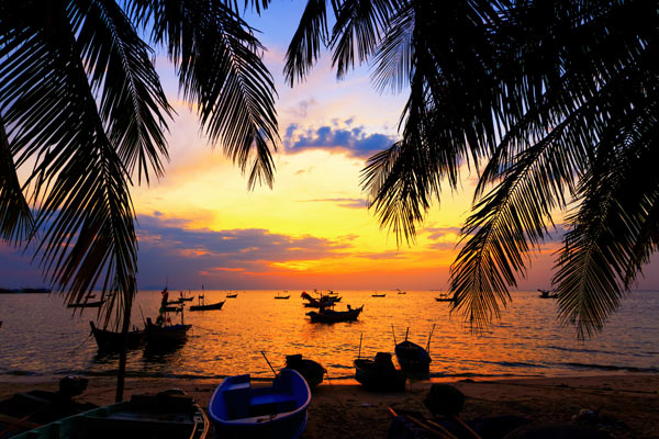 banner-image