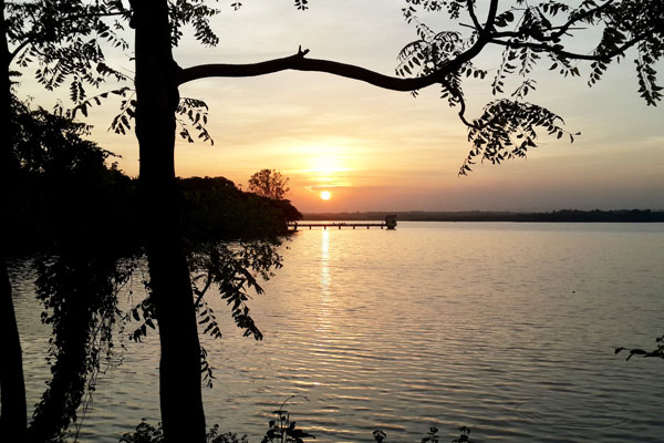 banner-image