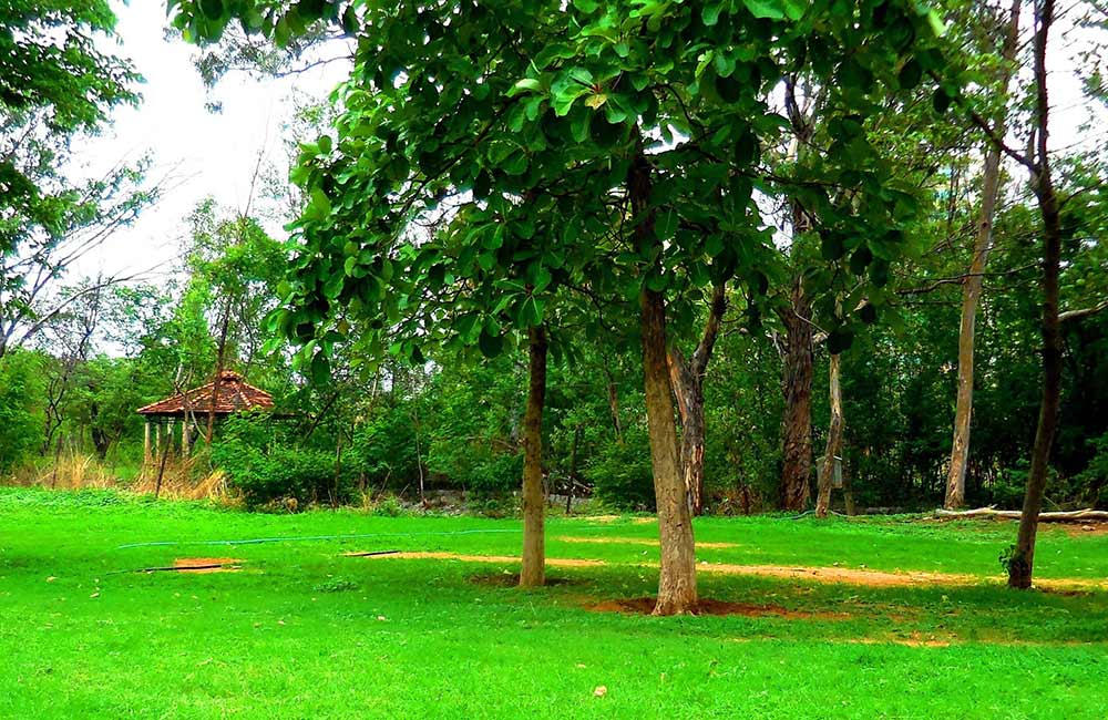 Botanical Garden | #6 of 10 Best Parks in Hyderabad