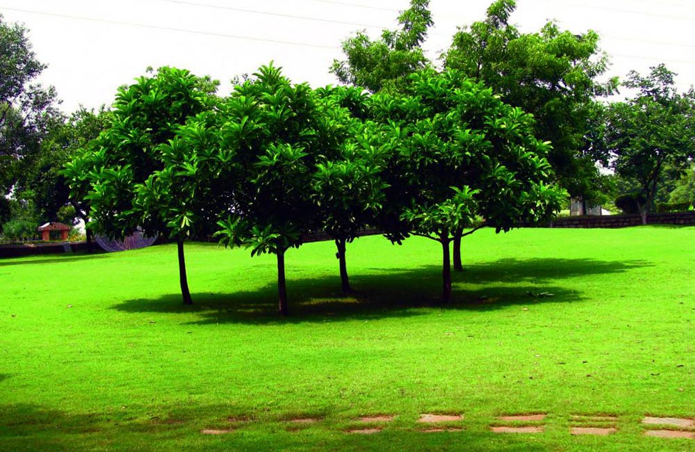 Public Gardens | #8 of 10 Best Parks in Hyderabad
