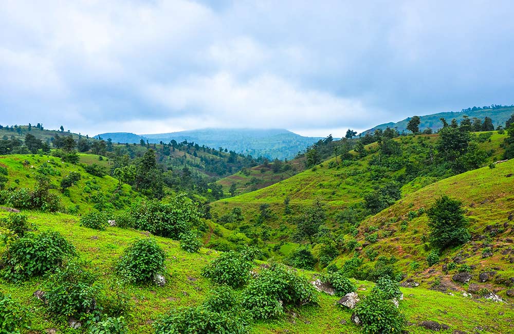 Don Hill Station, Gujarat (416 km) | Hill Stations near Ahmedabad within 500 km