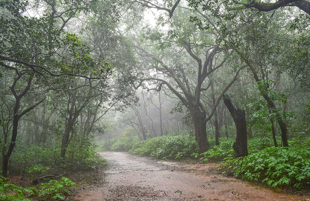 Matheran, Maharashtra (573 km) | Hill Stations near Ahmedabad beyond 500 km