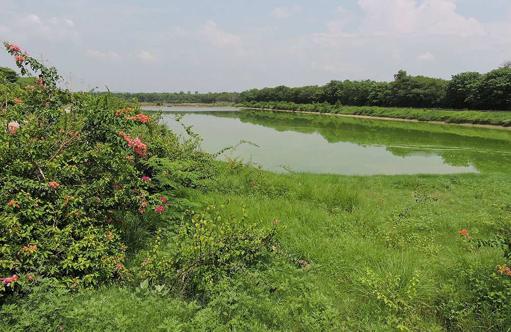 Dhanas Lake