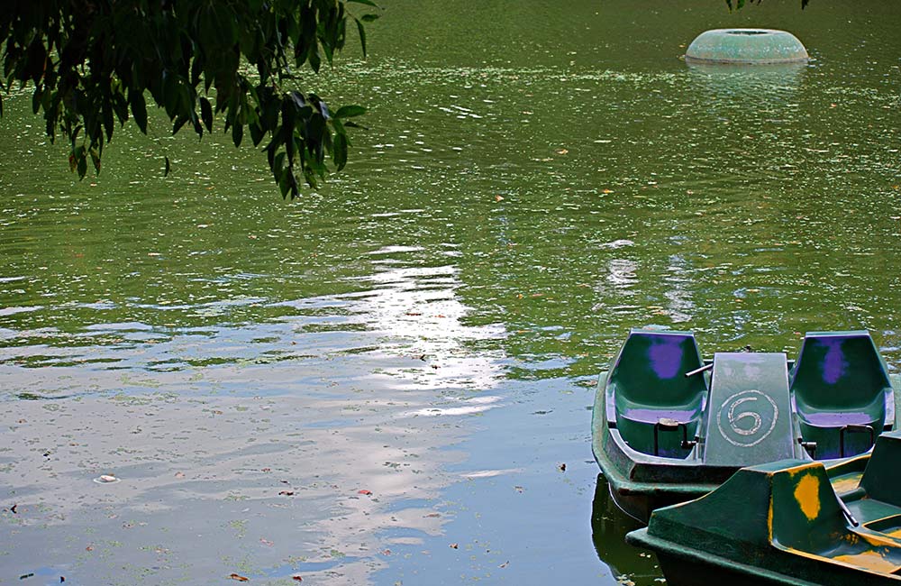 Varthur Lake