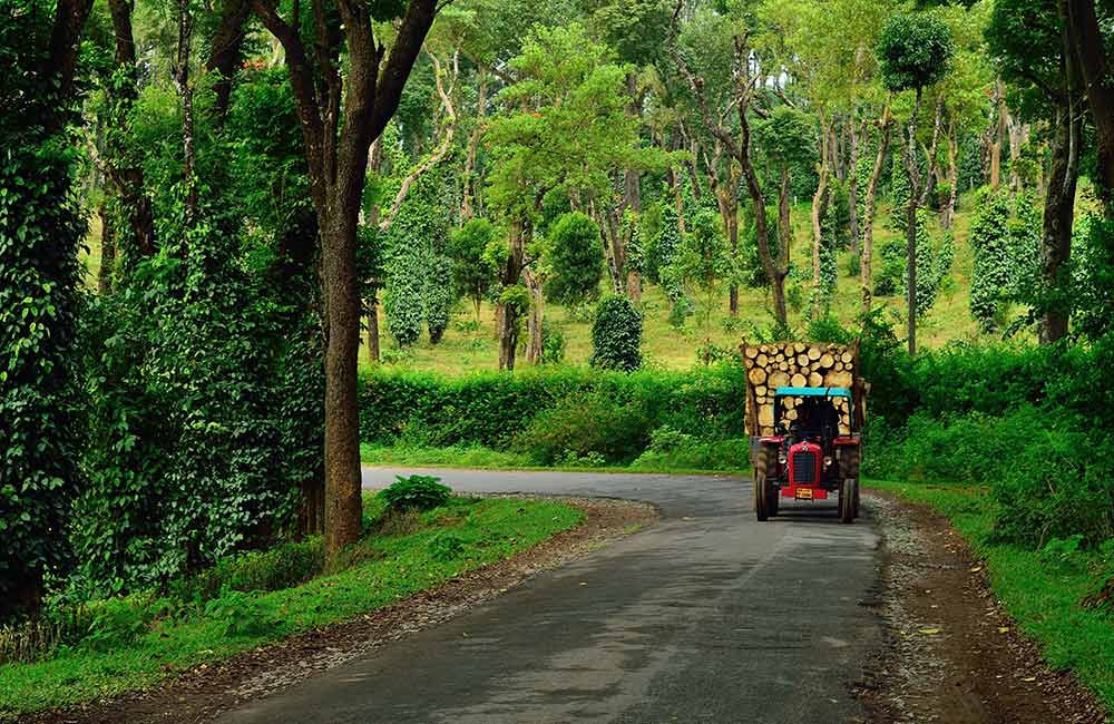 Bangalore to Coorg by Road, How to Reach Coorg from Bangalore- FabHotels Blog