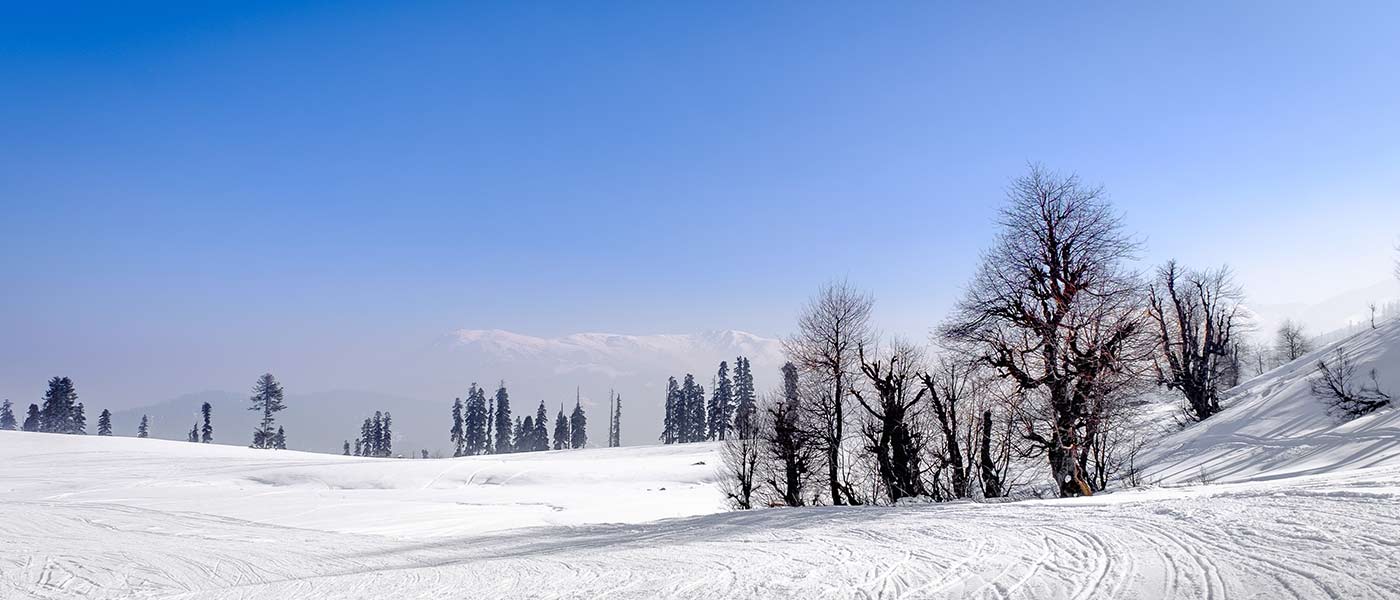 banner-image