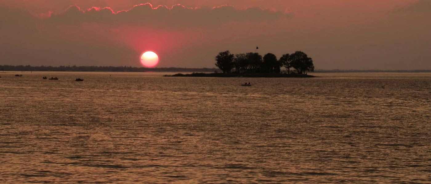 banner-image
