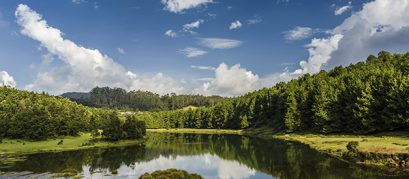Visit These Lakes in Ooty to Enjoy the Everlasting Charm of Placid Waters