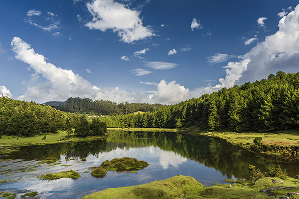 Visit These Lakes in Ooty to Enjoy the Everlasting Charm of Placid Waters
