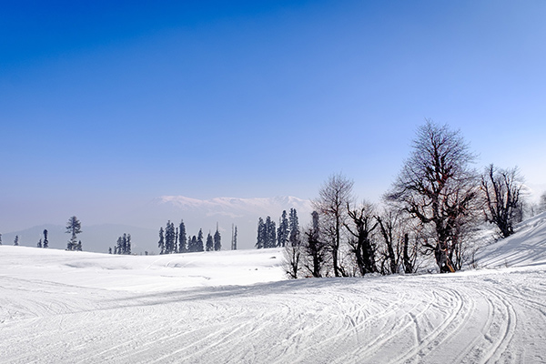 banner-image