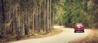 Winding Roads, Scenic Vistas, and the Blue Mountains: Our Perfect Trip from Bangalore to Ooty by Road