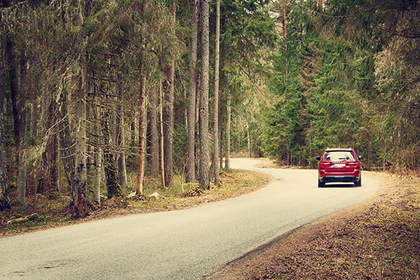 Winding Roads, Scenic Vistas, and the Blue Mountains: Our Perfect Trip from Bangalore to Ooty by Road