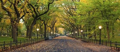 Best Parks in Hyderabad