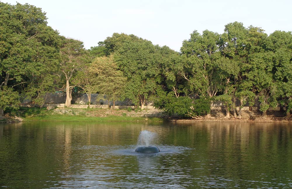 Bannerghatta National Park | # 1 of 20 Picnic Spots in Bangalore