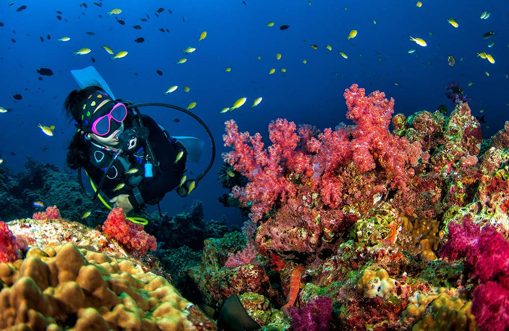 Scuba Diving in Goa